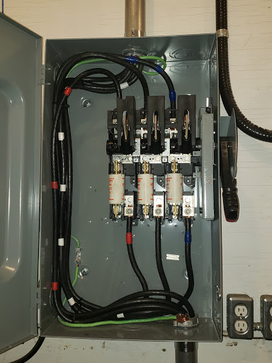 Swan Electric - Visual