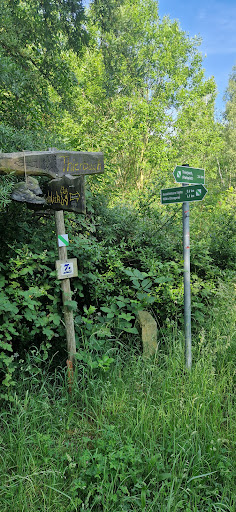 Rundwanderweg Aussichtsturm Erzgebirgblick
