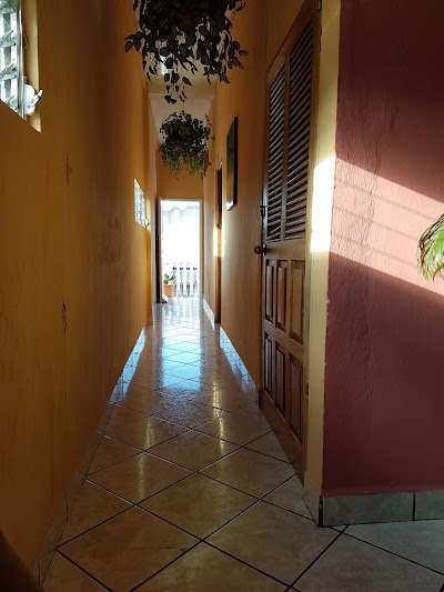 Photos of La Jungla