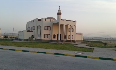 Photos of Egyptian Steel - iic - Beni Suef