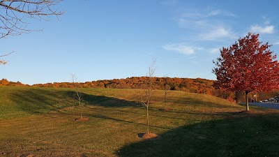 Photos of Woodbourne Park