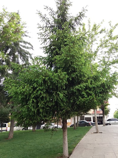 Photos of Deniz Parkı