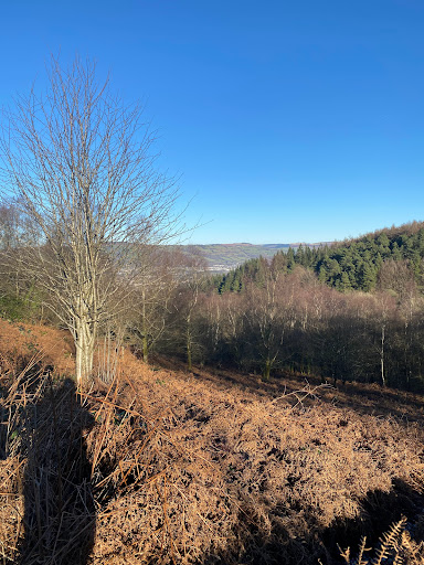 Caerphilly Mountain - Visual