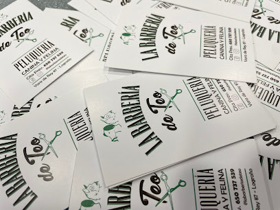 La Barbería de Teo - Peluquería canina y felina