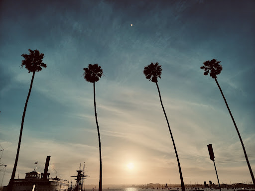 Booked N Busy Travel Gallery - United States