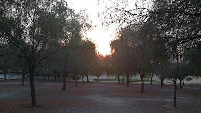 Photos of nad shamma park