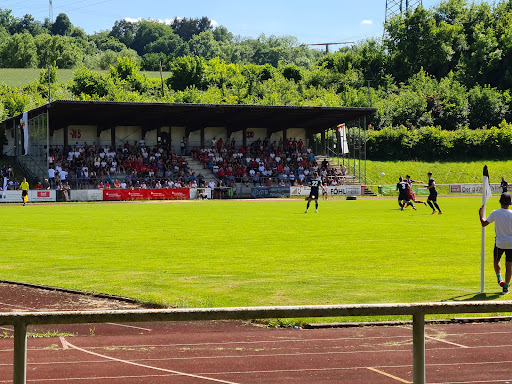 VfB Reichenbach - Visual
