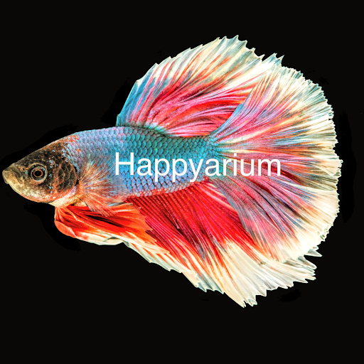 Happyarium - Cobham - Thumbnail