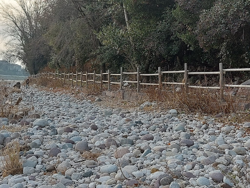 Sentiero Naturalistico - Centenario ANA Montegrappa - Thumbnail