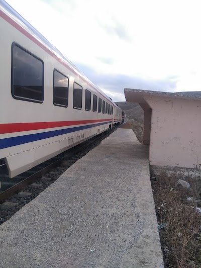 Kars Akyaka Treni Camuşlu Köyü Durağı