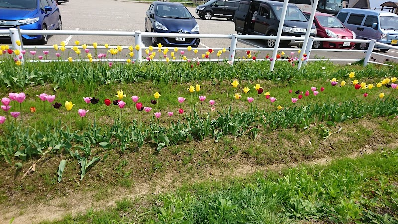 城端ハイウェイオアシス 富山県南砺市立野原東 サービスエリア パーキング エリア グルコミ