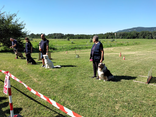 Avioclub Montalto - Thumbnail