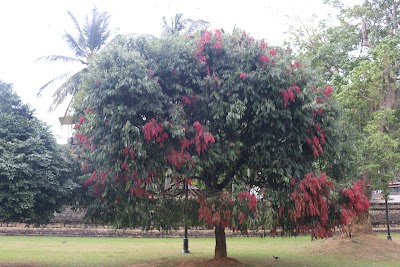 Photos of Sri Dalada Maligawa