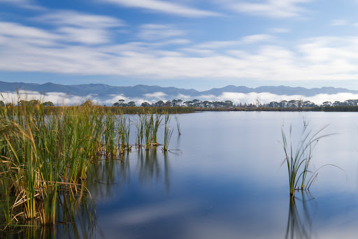 Boggy Pond Wairarapa Moana Wetlands - Thumbnail