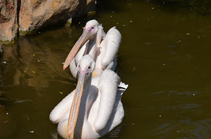 Photo n°15 de Atout Clés - CléMobil à Lescure-d'Albigeois (Prestataire spécialisé dans le tirage de photos de passeport)