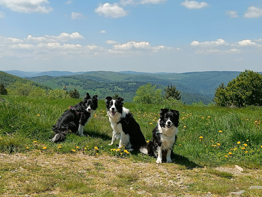 Grand Ballon - Thumbnail
