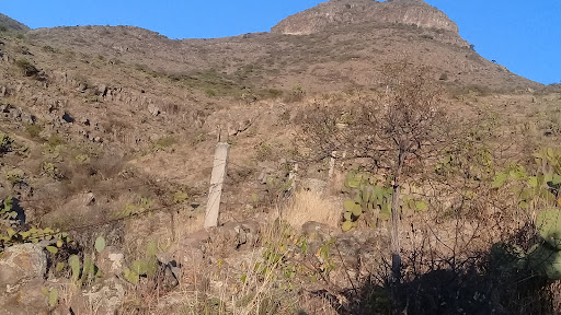 Sendero Para subir al cerro , Zona 3 Asadero Gallery - Mexico