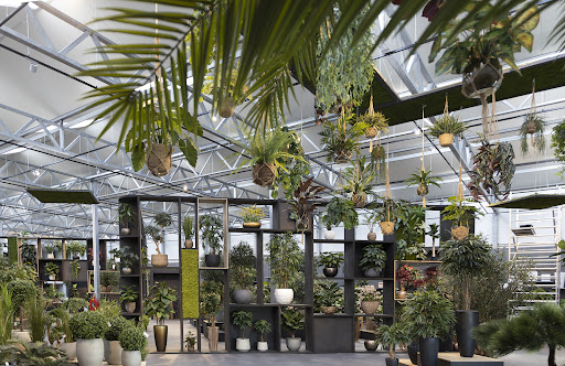 Maxifleur Artificial plants B.V.