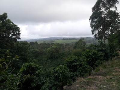 Photos of Pulper&iacute;a Langui