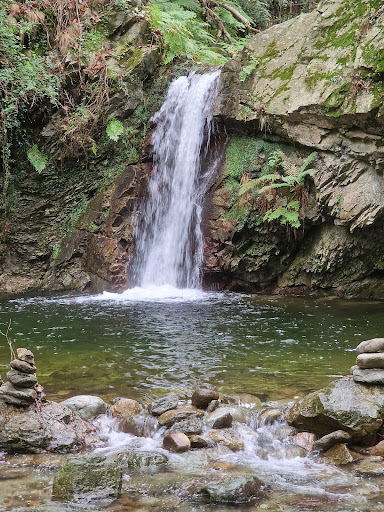 Dennis Wasserfall