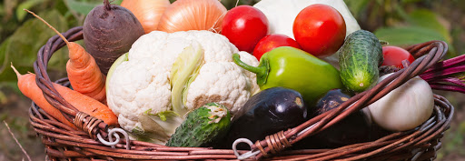 Global Meals - Visual