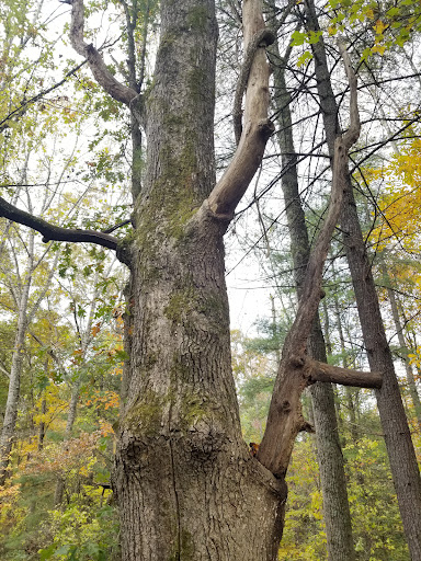 Blueridge Parkway Visitor Center Parking Lot Gallery - United States