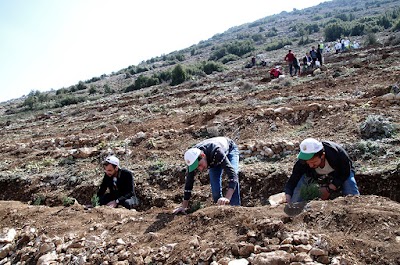 Isparta Uygulamalı Bilimler Üniversitesi Orman Fakültesi