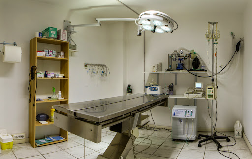 FalconaraVet, Ambulatorio Veterinario città di Falconara - Thumbnail