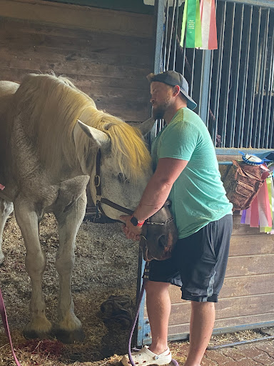Allossery Equine Veterinary Services - Thumbnail