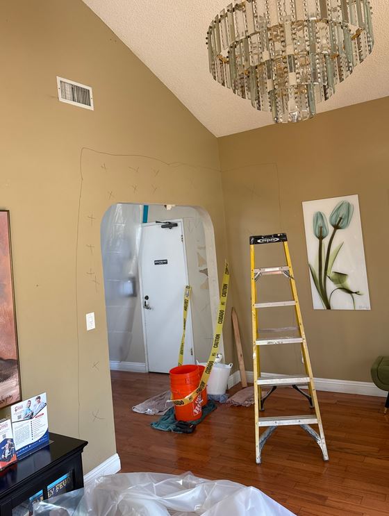 Mold Remediation Miami Elite photo