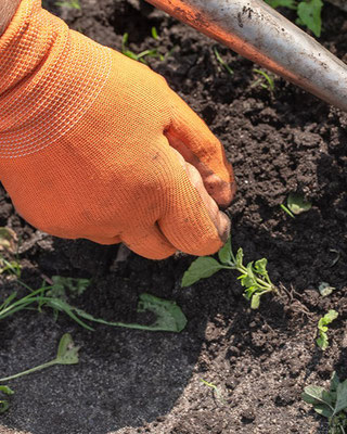 Photo de Piscine et Jardins Services