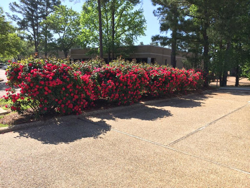 Specialized Physical Therapy - Flowood Clinic - Thumbnail