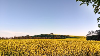 Photos of M&oslash;ns vandrerhjem