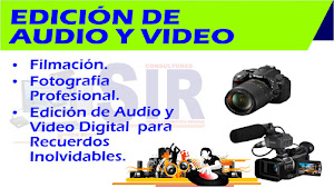 SIR CONSULTORES 2