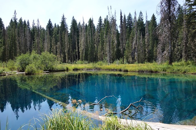 Place around image