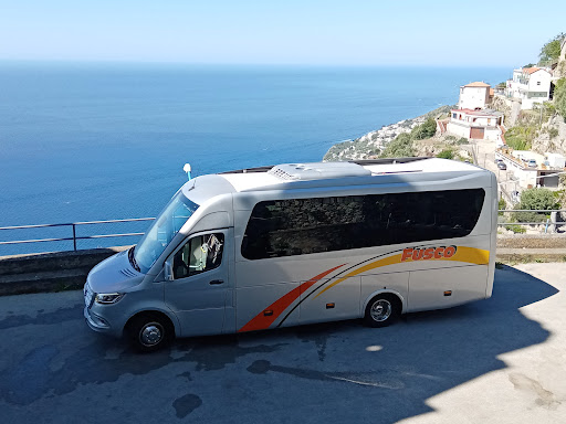 Amalfi Turcoop