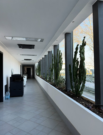 Bipres Group - Visual