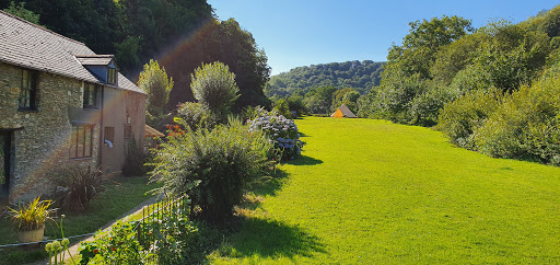 Comyn Farm - Visual