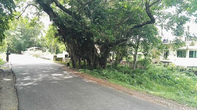 Photos of Shingharia Nengta Fokir Jame Masjid