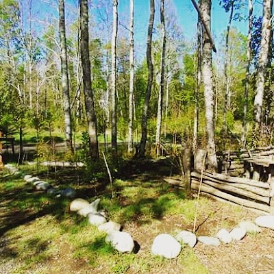 Photos of Eco Caba&ntilde;as Quetroleufu