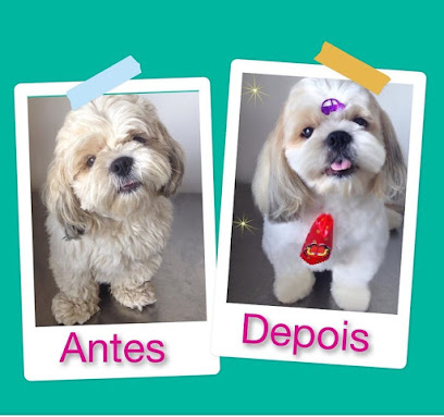 Revet Clínica Veterinária