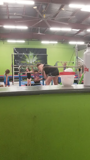 Southern Stars Academy Gallery - United States