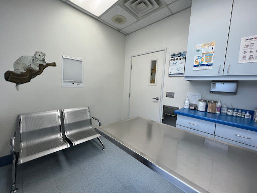 Paws N Claws Veterinary Hospital - Thumbnail