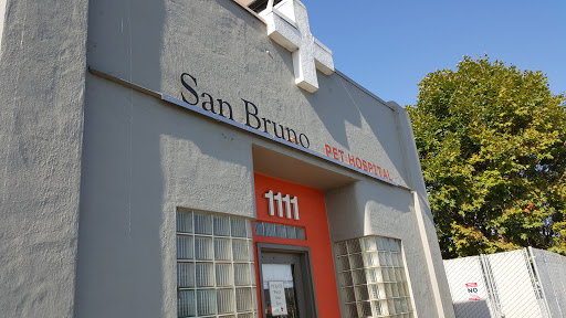 San Bruno Pet Hospital - Thumbnail