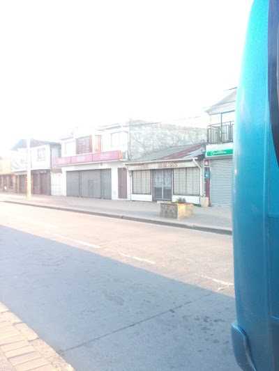 Photos of ABCDIN Arauco