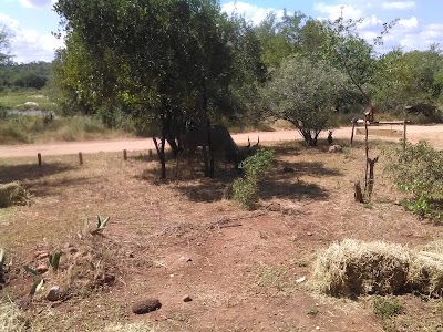 Photos of Little Kruger Lodge