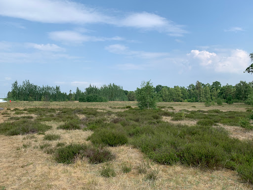 Åhusfältet - Visual
