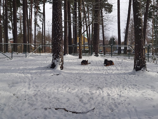 Kusens backes Hundpark Gallery - Sweden
