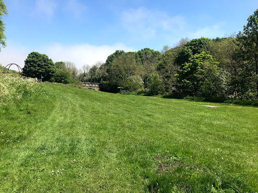 Dene Park - Visual