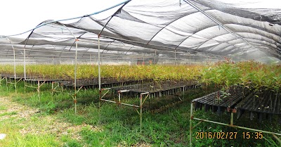 Photos of Eucalyptus Agro for Science Co Ltd Office